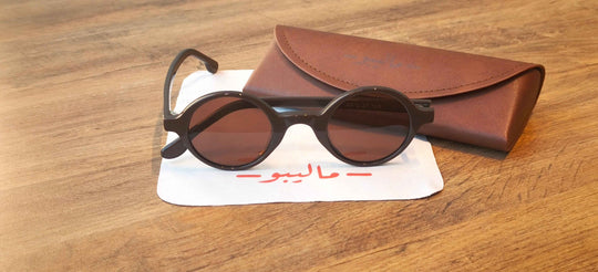 Malibu Retro Brown Sunglasses